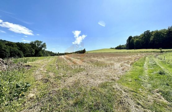 POLECAMY! 116G Zbyszyce gmina Gródek nad Dunajcem, działka budowalna, pow. 23,25 ar. Cena: 348 000 zł